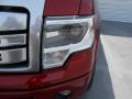 2013 F150 Platinum SuperCrew 4x4 #12
