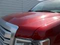 2013 F150 Platinum SuperCrew 4x4 #13