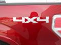 2013 F150 Platinum SuperCrew 4x4 #19