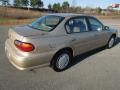 2001 Malibu Sedan #5