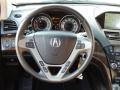 2010 MDX Technology #14