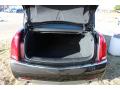 2013 CTS 3.6 Sedan #20