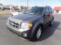 2011 Escape XLT 4WD #1