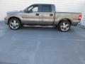  2007 Ford F150 Dark Shadow Grey Metallic #6