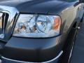 2007 F150 XLT SuperCrew #10