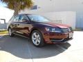 2013 Passat 2.5L SE #1