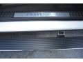 2013 F150 Platinum SuperCrew 4x4 #20