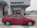 2011 Sonata Limited #2