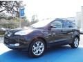 2013 Escape SEL 1.6L EcoBoost #1