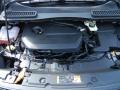 2013 Escape SEL 1.6L EcoBoost #12