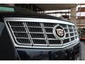 2013 XTS Luxury FWD #9