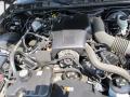  2004 Grand Marquis 4.6 Liter SOHC 16 Valve V8 Engine #13