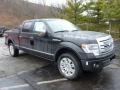 Front 3/4 View of 2013 Ford F150 Platinum SuperCrew 4x4 #1
