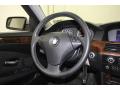2010 BMW 5 Series 528i Sedan Steering Wheel #31 2010 BMW 5 Series 528i Sedan Steering Wheel #31