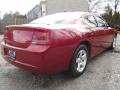 2008 Charger SE #4 2008 Charger SE #4