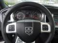 2013 Charger R/T Plus #18
