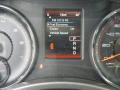 2013 Charger R/T Plus #19