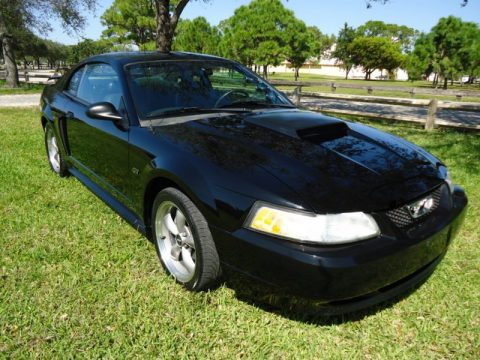Black Ford Mustang GT Coupe.  Click to enlarge.