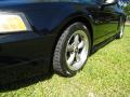 2001 Mustang GT Coupe #23