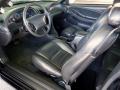  2001 Ford Mustang Dark Charcoal Interior #31