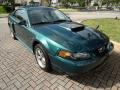 2002 Mustang GT Coupe #1