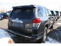 2010 4Runner SR5 4x4 #2