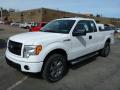 Front 3/4 View of 2013 Ford F150 STX SuperCab 4x4 #5