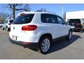 2013 Tiguan SE #2 2013 Tiguan SE #2