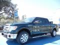 2013 Ford F150 XLT SuperCrew Green Gem Metallic 2013 Ford F150 XLT SuperCrew Green Gem Metallic