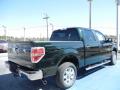 2013 F150 XLT SuperCrew #3