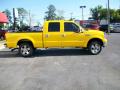 2006 F250 Super Duty Amarillo Special Edition Crew Cab 4x4 #5