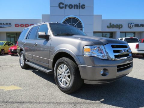Sterling Grey Metallic Ford Expedition XLT.  Click to enlarge.