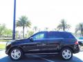  2012 Mercedes-Benz ML Black #4