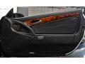 Door Panel of 2008 Mercedes-Benz SL 550 Roadster #28 Door Panel of 2008 Mercedes-Benz SL 550 Roadster #28