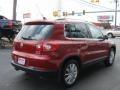 2011 Tiguan S 4Motion #4 2011 Tiguan S 4Motion #4