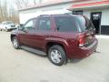 2007 Chevrolet TrailBlazer Bordeaux Red Metallic #5 2007 Chevrolet TrailBlazer Bordeaux Red Metallic #5