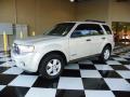 2009 Escape XLT V6 #3 2009 Escape XLT V6 #3