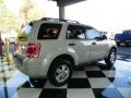 2009 Escape XLT V6 #6 2009 Escape XLT V6 #6