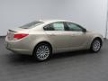 2013 Regal Turbo #3