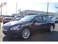 2010 Maxima 3.5 SV #6