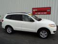 2010 Santa Fe GLS 4WD #2