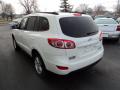 2010 Santa Fe GLS 4WD #3
