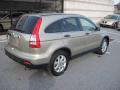  2007 Honda CR-V Borrego Beige Metallic #7