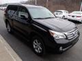 2010 GX 460 #4