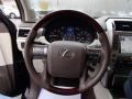  2010 Lexus GX 460 Steering Wheel #17