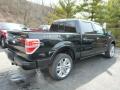  2013 Ford F150 Tuxedo Black Metallic #2
