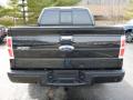  2013 Ford F150 Tuxedo Black Metallic #3
