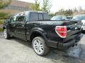 2013 Ford F150 Tuxedo Black Metallic #4