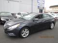 2011 Sonata Limited #2 2011 Sonata Limited #2