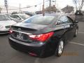 2011 Sonata Limited #3 2011 Sonata Limited #3